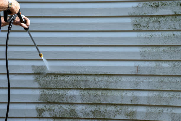 Affordable siding repair and maintenance services in Reynoldsville, PA